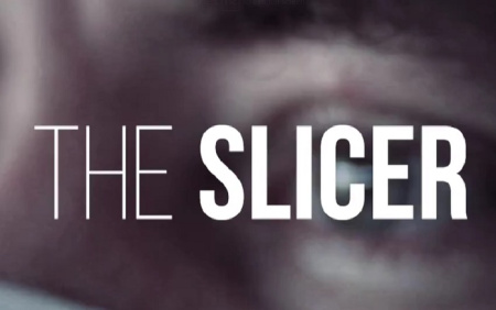 دانلود پریست پریمیر با افکت برش The Slicer