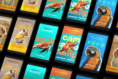 پروژه افتر افکت استوری اینستاگرام پت شاپ Pet Shop