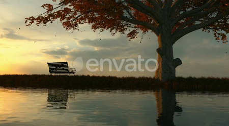 دانلود فوتیج غروب پاییزی Autumn Sunset