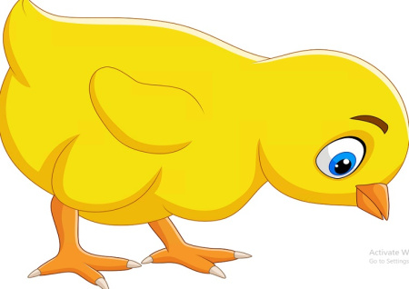 وکتور جوجه کارتونی