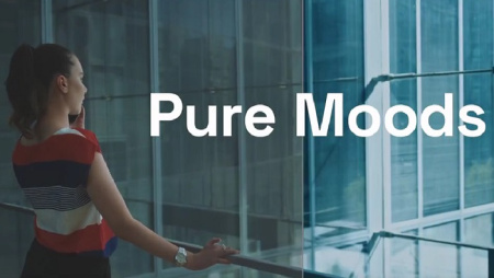 دانلود مجموعه پریست پریمیر رنگی Pure Mood LUTs