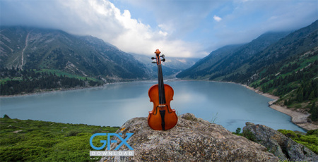 عکس ویولن زیبا برای پروفایل