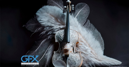 عکس ویولن برای پس زمینه