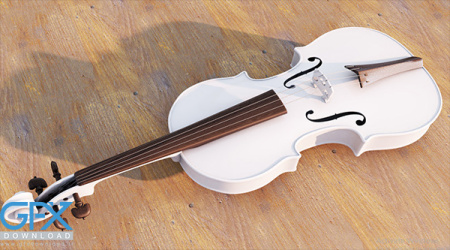 عکس ویولن سفید بیژن مرتضوی