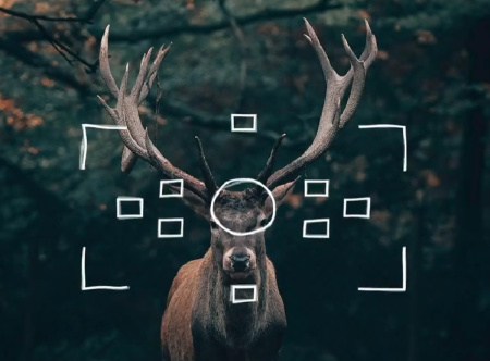 دانلود پریست پریمیر Scribble Camera Viewfinder