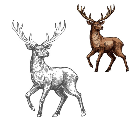 دانلود وکتور آهو لایه باز