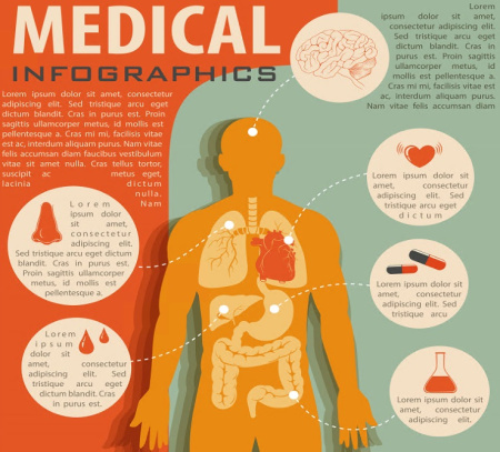 فایل اینفوگرافیک لایه باز آناتومی بدن انسان