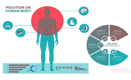 قالب آماده اینفوگرافیک لایه باز آناتومی بدن انسان