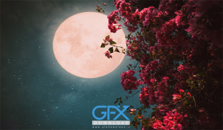 عکس ماه برای پروفایل دخترونه