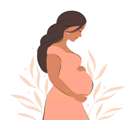 وکتور زن باردار