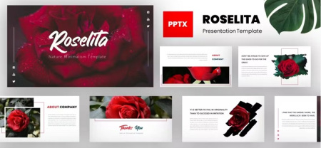 قالب پاورپوینت گل رز Roselita