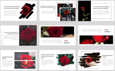 دانلود قالب پاورپوینت گل رز Roselita