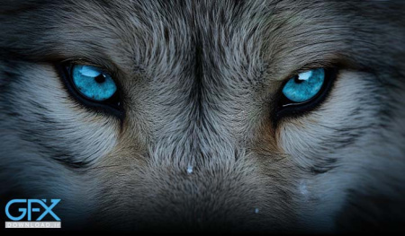 صدای گرگ برای ادیت