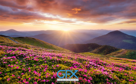 عکس طبیعت بهاری زیبا برای پروفایل