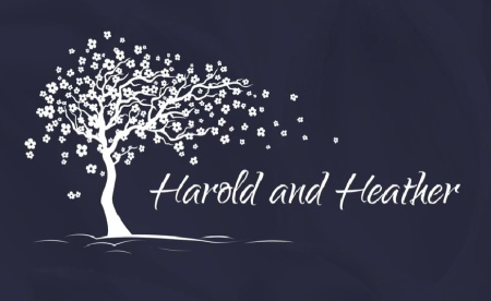 پروژه پریمیر 12 عنوان عروسی Clean Wedding Titles