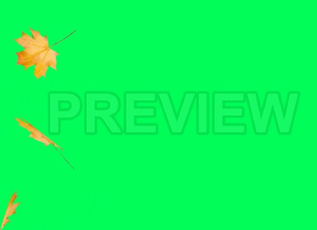 فوتیج پرده سبز برگ های پاییزی Autumn Leaves On Green Screen