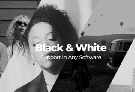 دانلود پریست پریمیر اصلاح رنگ سیاه و سفید Black & White Luts
