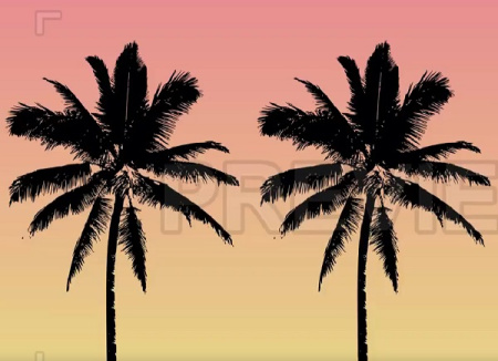 دانلود فوتیج درختان نخل استوایی Tropical Palm Trees