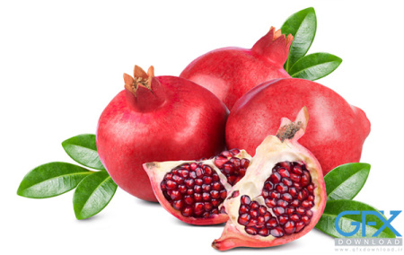 عکس انار پاییزی برای پروفایل