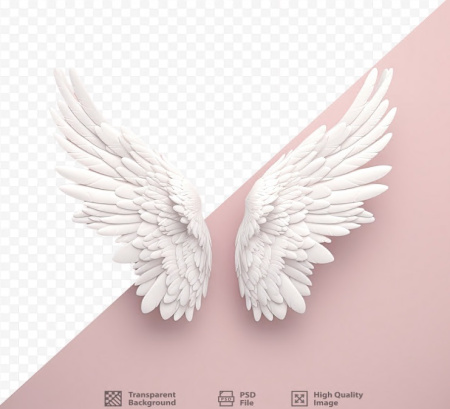دانلود بال فرشته لایه باز