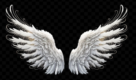 طرح لایه باز بال فرشته