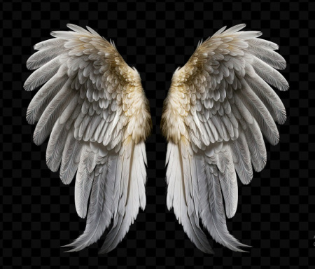 دانلود 7 طرح PSD لایه باز بال فرشته فتوشاپ