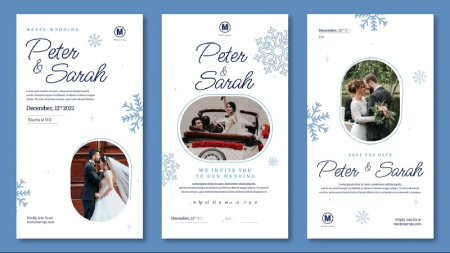 پروژه افتر افکت استوری های اینستاگرام عروسی در زمستان