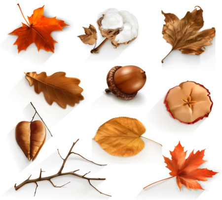 دانلود وکتور برگ پاییزی