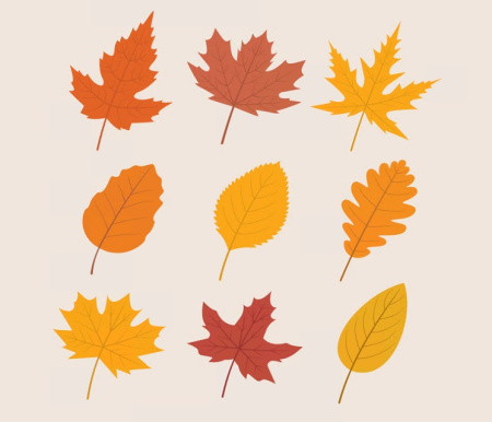 وکتور برگ پاییز