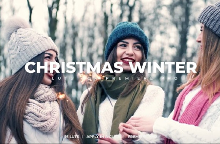 پریست پریمیر اصلاح رنگ زمستانی و کریسمس Christmas Winter LUTs