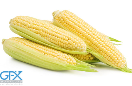 دانلود 30 عکس ذرت و بلال با کیفیت بالا مناسب ادیت و چاپ