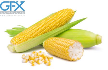 دانلود عکس ذرت