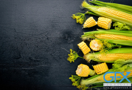 تصویر زمینه ذرت