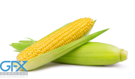 عکس ذرت بلال