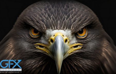 عکس عقاب ترسناک