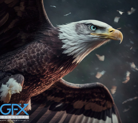 عکس عقاب وحشی