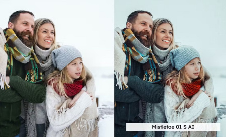 پریست لایت روم زمستانی و کریسمس 20 Festive Film