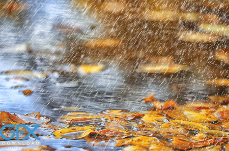 دانلود عکس باران