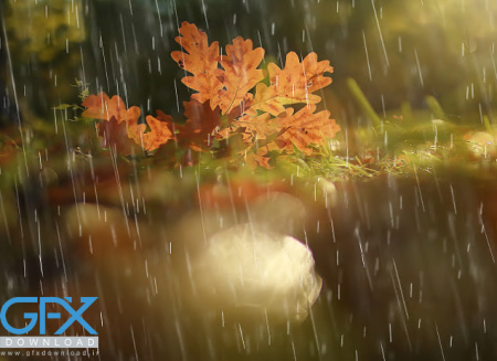 عکس باران پاییزی