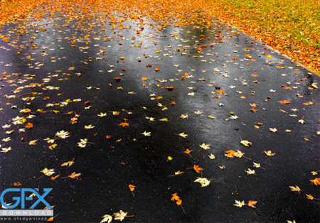 عکس باران پاییز