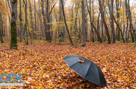 عکس باران پاییزی برای پروفایل