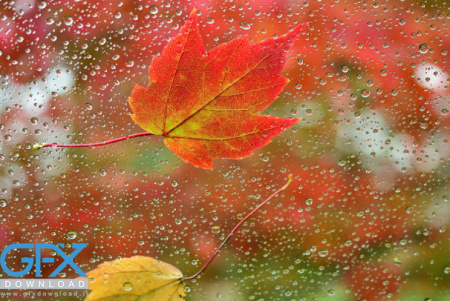 عکس باران پاییزی زیبا