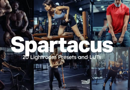 مجموعه 20 پریست رنگی لایت روم Spartacus