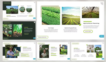 قالب پاورپوینت گلخانه