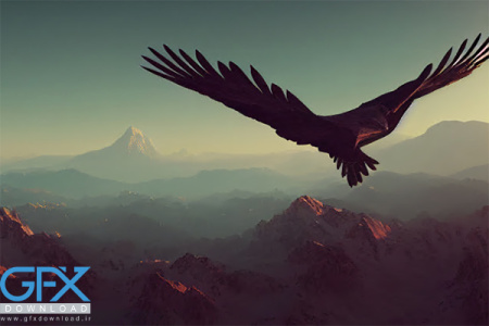عکس عقاب برای پس زمینه کامپیوتر