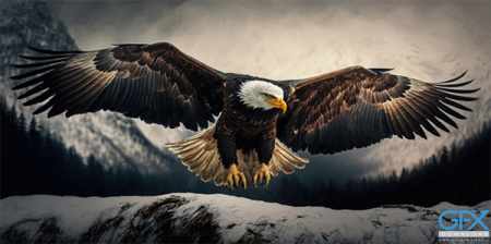 دانلود عکس عقاب برای تصویر زمینه