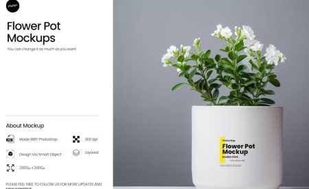 موکاپ گلدان