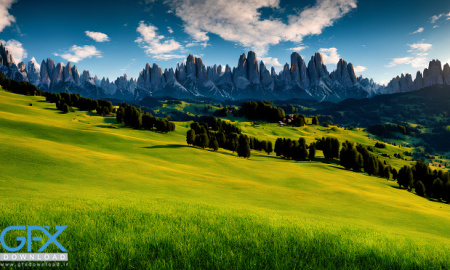 عکس پس زمینه طبیعت سبز