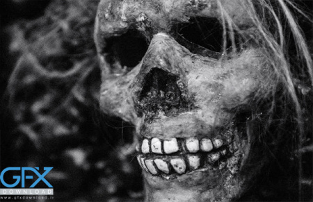 عکس های ترسناک واقعی