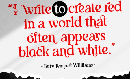 دانلود فونت Shigat